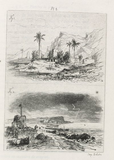 Traktat o trawieniu: Tablica 5, 1866. autorstwa Maxime Lalanne