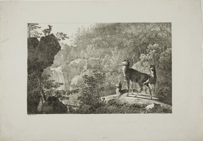 Jeleń i Kozica autorstwa Maximilian Josef Wagenbauer