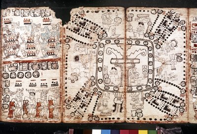 CYWILIZACJA MAJA: Codex Tro-Cortesiano, połowa XV wieku (włókno z kory i warzyw) autorstwa Mayan Mayan