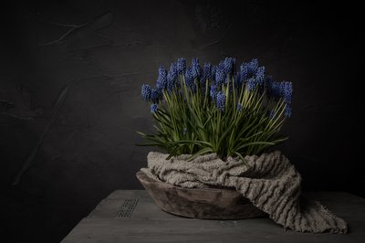 Rustykalne niebieskie kwiaty autorstwa Mayra Pama