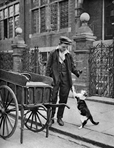 Cats meat man, Londyn, 1926-1927 autorstwa McLeish