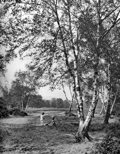 Putney Heath, Londyn, 1926-1927 autorstwa McLeish