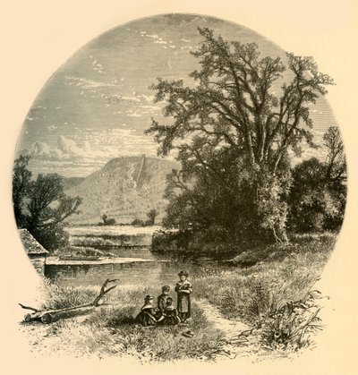 „Łąki Northampton”, 1874. autorstwa Meeder and Chubb