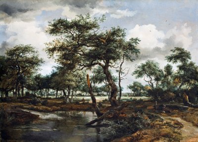 Staw w lesie, 1668 (olej na desce dębowej) autorstwa Meindert Hobbema