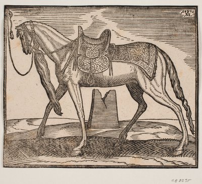Elegancki, osiodłany koń, uwiązany v. linią obramowania, profil do v.; pod brzuchem konia widać zrujnowany autorstwa Melchior Lorck