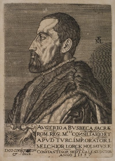 Portret Ogiera Ghiselina de Busbecq, wysłannika cesarskiego. autorstwa Melchior Lorck