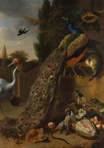 Pawie, 1683. autorstwa Melchior d