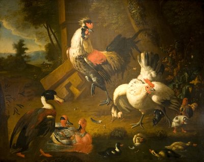 Kogut z kurą i trzema kaczkami autorstwa Melchior de (studio of) Hondecoeter