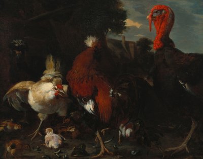 Kura, Kogut i Indyk na Gospodarstwie autorstwa Melchior de Hondecoeter