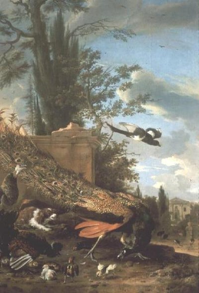 Paw i spaniel w ogrodzie willi autorstwa Melchior de Hondecoeter