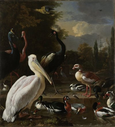Pelikan i inne ptaki w pobliżu sadzawki, znane jako „pływające pióro”, ok. 1680 autorstwa Melchior de Hondecoeter