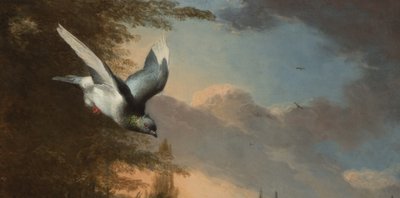 Detal z Menażerii, ok. 1680 (olej na płótnie) autorstwa Melchior de Hondecoeter