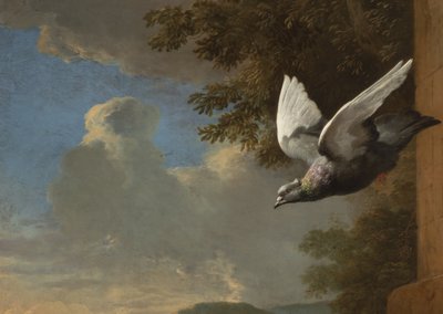 Detal z Menażerii, ok. 1680 (olej na płótnie) autorstwa Melchior de Hondecoeter