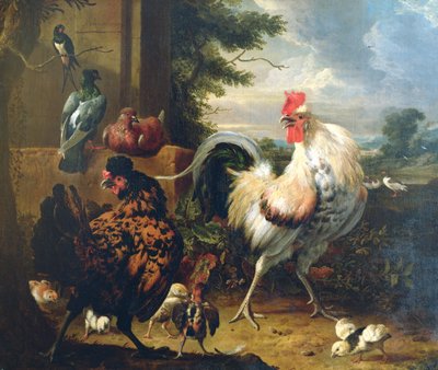 Ptactwo gospodarskie autorstwa Melchior de Hondecoeter