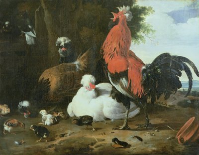 Kury hodowlane z gołębiami autorstwa Melchior de Hondecoeter