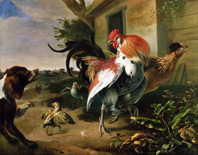 Drób i Spaniel w zagrodzie autorstwa Melchior de Hondecoeter