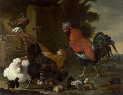 "Kutas, kury i pisklęta" (Kutas, kury i pisklęta) Obraz Melchior de Hondecoeter (1636-1695) Olej na płótnie ok. 1668-1670 Wymiary 85,5x110 cm National Gallery, Londyn autorstwa Melchior de Hondecoeter