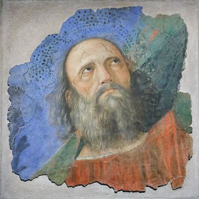 Głowa Apostoła, ok. 1480 (fresk) autorstwa Melozzo da Forli