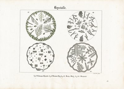 Formy krystaliczne różnych soli autorstwa Meno Haas