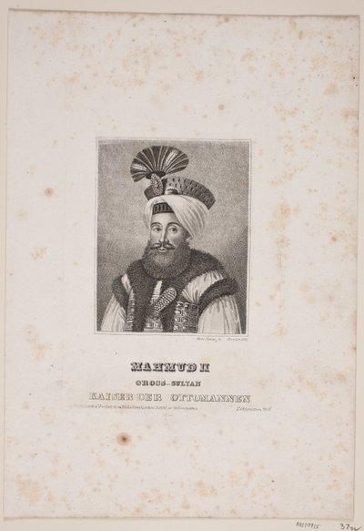 Duński:  Mahmud II autorstwa Meno Haas