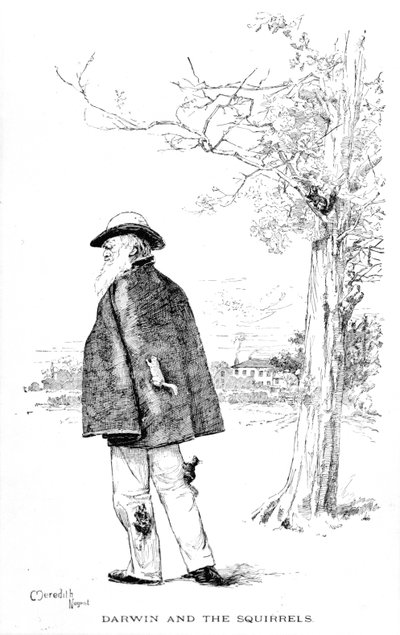 Darwin i wiewiórki, ilustracja z Charles Darwin, His Life and Work autorstwa Charlesa Fredericka Holdera, 1899 autorstwa Meredith Nugent