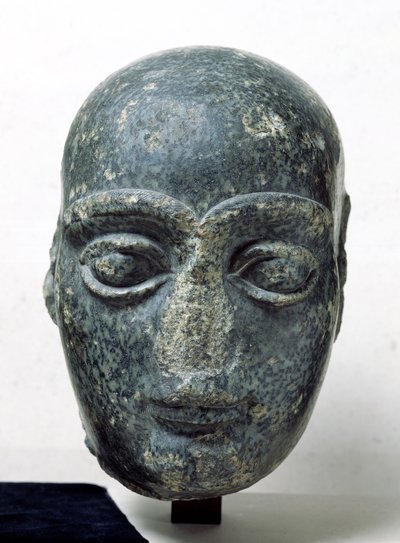Głowa mężczyzny, znanego jako Gudea z ogoloną głową, z Telloh (starożytnego Girsu) neo-sumeryjskiego, ok. 2120 pne (dioryt) autorstwa Mesopotamian