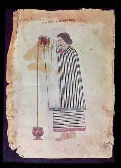 Meksykańska Indian przygotowująca czekoladę, z Kodeksu Tuleda, 1553 autorstwa Mexican School