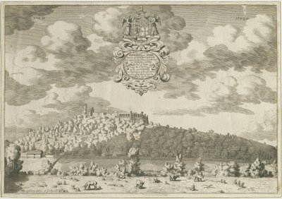 Zamek Dudley: miedzioryt, bd [1653-1686] (druk) autorstwa Michael Burghers