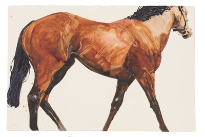 Bez tytułu, 2018 (akwarela na papierze) autorstwa Michael Frith