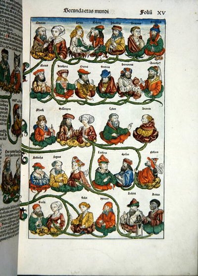 Drzewo genealogiczne z 