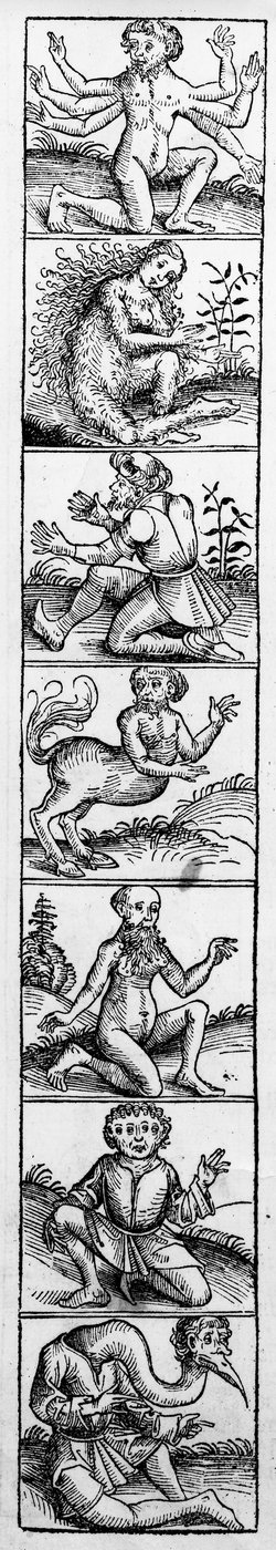 Potwory z „Kroniki norymberskiej” Hartmanna Schedla, opublikowana w 1493 r. autorstwa Michael Wolgemut