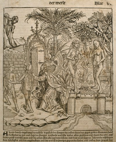 Adam i Ewa, ilustracja z 