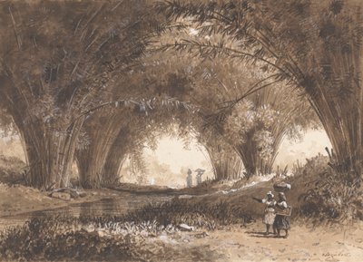 Bambusowi łuki, St. Anns autorstwa Michel Jean Cazabon
