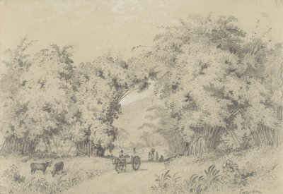 Estrada para St. Ann