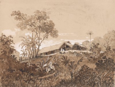 A Casa de Campo, Monte Tamanapolish autorstwa Michel Jean Cazabon