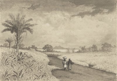 O caminho para o campo Lakepolish autorstwa Michel Jean Cazabon