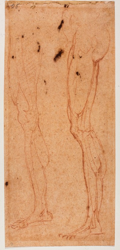 Badanie nóg autorstwa Michelangelo (after) Buonarroti