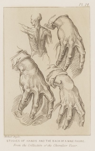 Badania dłoni i tyłu sylwetki męskiej (akwaforta) autorstwa Michelangelo (after) Buonarroti