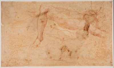 Studia aktów autorstwa Michelangelo (after) Buonarroti