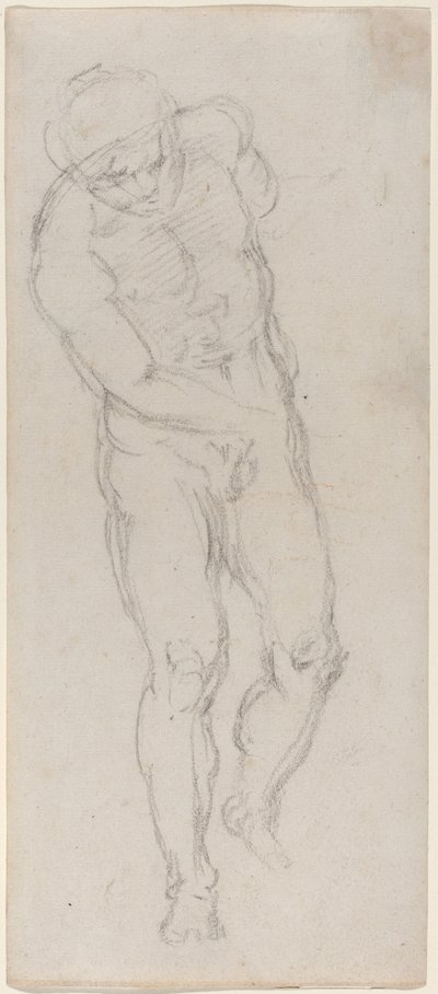 Akt Męski [odbyt] autorstwa Michelangelo