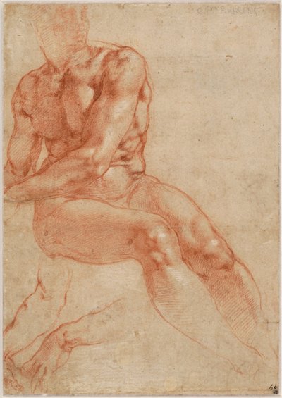 Młody mężczyzna w pozycji siedzącej i dwa studia ramion (recto), ok. 1510-11 autorstwa Michelangelo