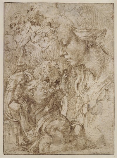 Studia dla Świętej Rodziny autorstwa Michelangelo