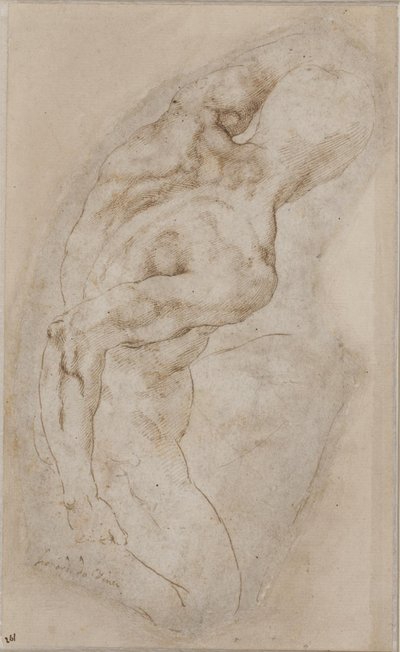 Klęczący młodzieniec widziany od tyłu autorstwa Michelangelo Buonarroti