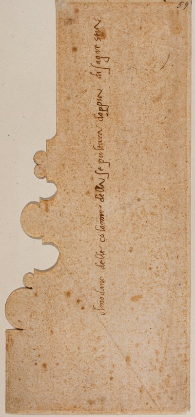 Profil podstawy kolumny dla nowej zakrystii autorstwa Michelangelo Buonarroti