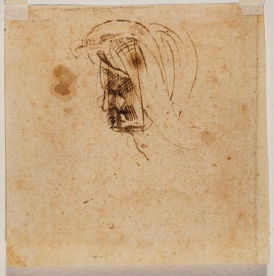 Głowa kobiety autorstwa Michelangelo Buonarroti
