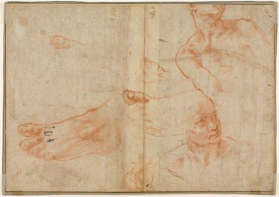 Badania figur dla sufitu Sykstyńskiego (verso) autorstwa Michelangelo Buonarroti
