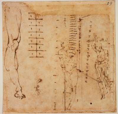 Badania rysunkowe autorstwa Michelangelo Buonarroti