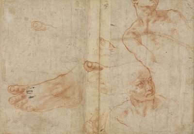 Studia liczbowe dla sufitu Sykstyńskiego autorstwa Michelangelo Buonarroti