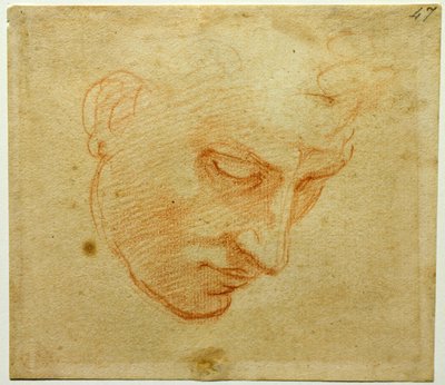Studium Głowy do sufitu Kaplicy Sykstyńskiej, ok. 1509-1510 autorstwa Michelangelo Buonarroti