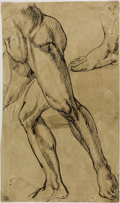 Nogi i stopy nagości męskiej autorstwa Michelangelo Buonarroti